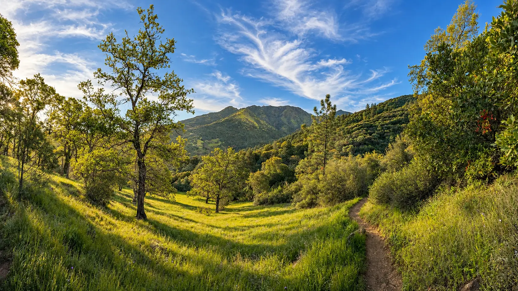 Property Management in Danville, CA